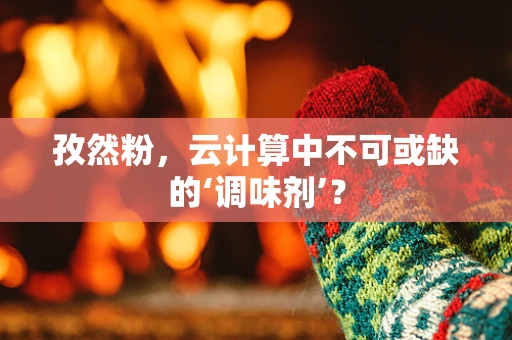 孜然粉，云计算中不可或缺的‘调味剂’？