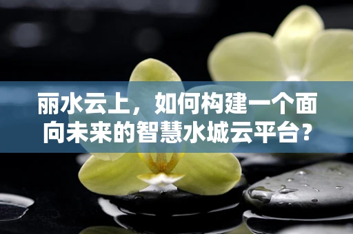 丽水云上，如何构建一个面向未来的智慧水城云平台？
