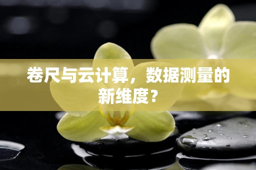 卷尺与云计算，数据测量的新维度？
