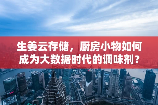 生姜云存储，厨房小物如何成为大数据时代的调味剂？