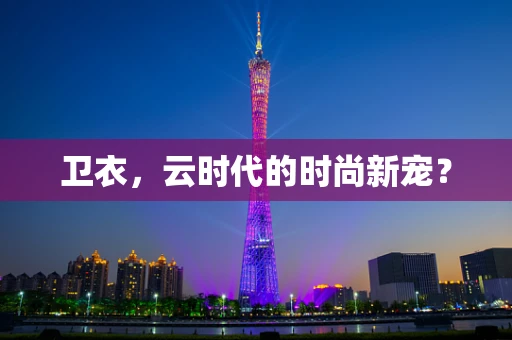 卫衣，云时代的时尚新宠？