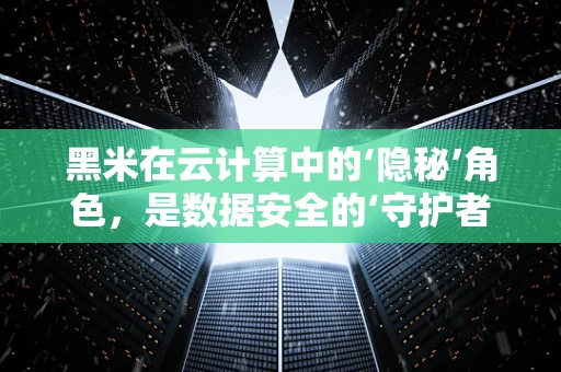 黑米在云计算中的‘隐秘’角色，是数据安全的‘守护者’吗？