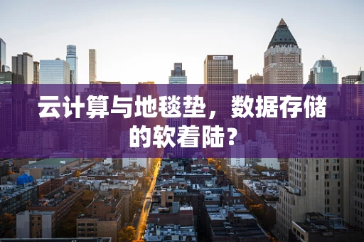 云计算与地毯垫，数据存储的软着陆？