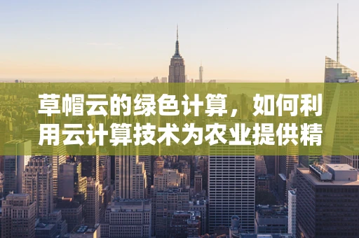 草帽云的绿色计算，如何利用云计算技术为农业提供精准服务？