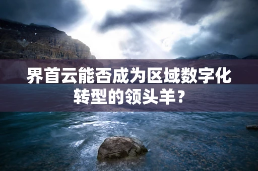 界首云能否成为区域数字化转型的领头羊？