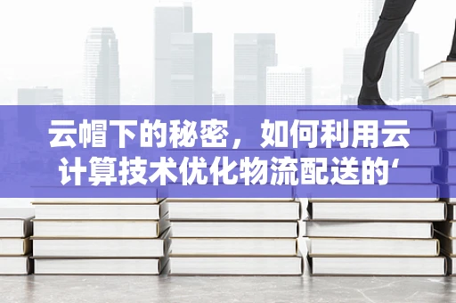 云帽下的秘密，如何利用云计算技术优化物流配送的‘最后一公里’？