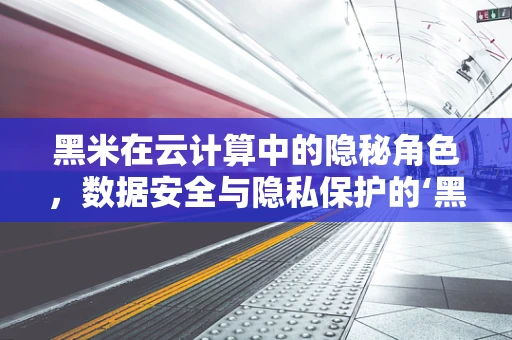 黑米在云计算中的隐秘角色，数据安全与隐私保护的‘黑科技’？