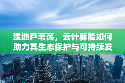 湿地芦苇荡，云计算能如何助力其生态保护与可持续发展？