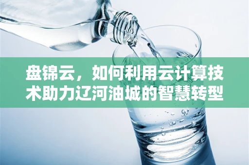 盘锦云，如何利用云计算技术助力辽河油城的智慧转型？