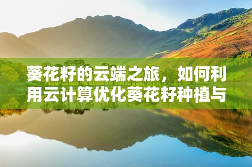 葵花籽的云端之旅，如何利用云计算优化葵花籽种植与加工的智能决策？
