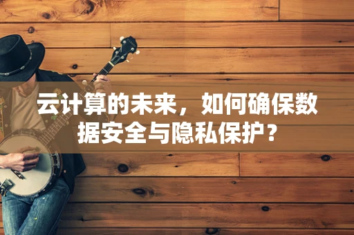 云计算的未来，如何确保数据安全与隐私保护？