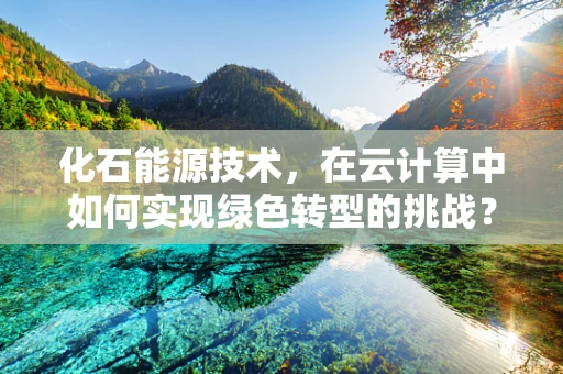 化石能源技术，在云计算中如何实现绿色转型的挑战？