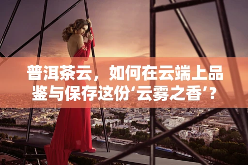 普洱茶云，如何在云端上品鉴与保存这份‘云雾之香’？