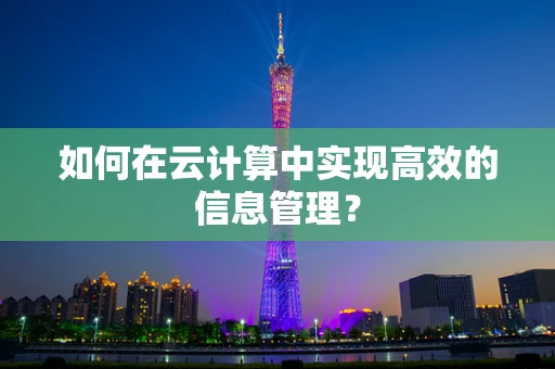 如何在云计算中实现高效的信息管理？