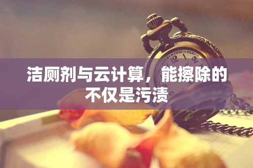 洁厕剂与云计算，能擦除的不仅是污渍
