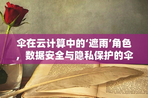 伞在云计算中的‘遮雨’角色，数据安全与隐私保护的伞形策略