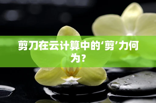 剪刀在云计算中的‘剪’力何为？