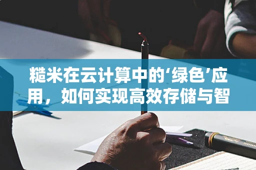 糙米在云计算中的‘绿色’应用，如何实现高效存储与智能管理？