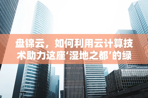 盘锦云，如何利用云计算技术助力这座‘湿地之都’的绿色转型？