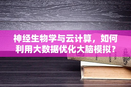 神经生物学与云计算，如何利用大数据优化大脑模拟？
