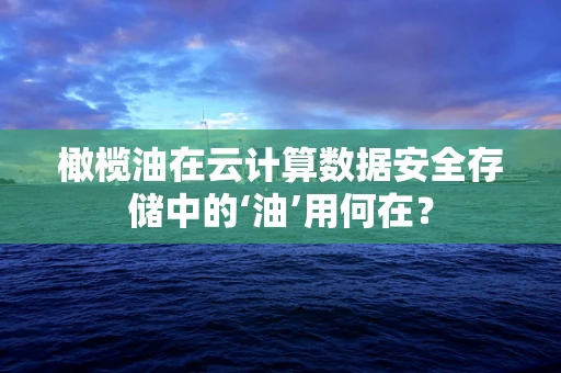 橄榄油在云计算数据安全存储中的‘油’用何在？