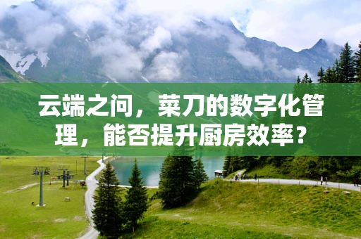 云端之问，菜刀的数字化管理，能否提升厨房效率？