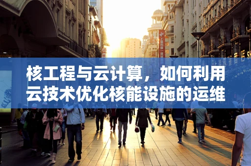 核工程与云计算，如何利用云技术优化核能设施的运维管理？