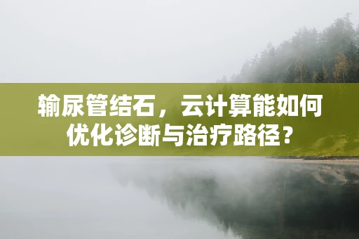 输尿管结石，云计算能如何优化诊断与治疗路径？