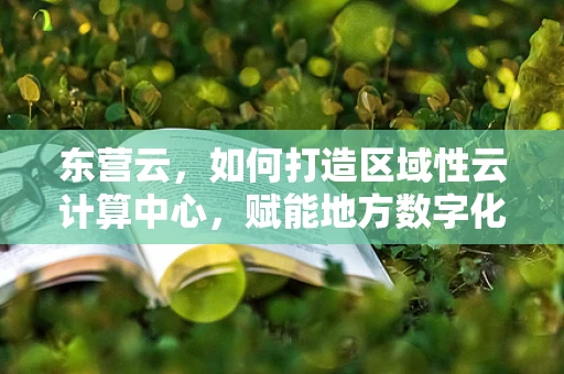 东营云，如何打造区域性云计算中心，赋能地方数字化转型？