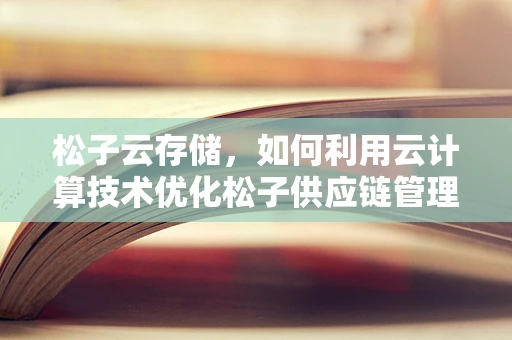 松子云存储，如何利用云计算技术优化松子供应链管理？