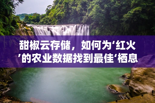 甜椒云存储，如何为‘红火’的农业数据找到最佳‘栖息地’？