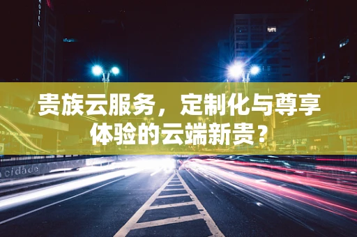 贵族云服务，定制化与尊享体验的云端新贵？