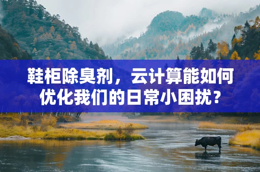 鞋柜除臭剂，云计算能如何优化我们的日常小困扰？
