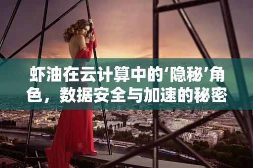 虾油在云计算中的‘隐秘’角色，数据安全与加速的秘密武器？