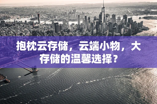 抱枕云存储，云端小物，大存储的温馨选择？