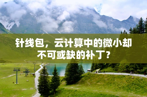 针线包，云计算中的微小却不可或缺的补丁？