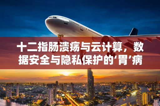 十二指肠溃疡与云计算，数据安全与隐私保护的‘胃’病？