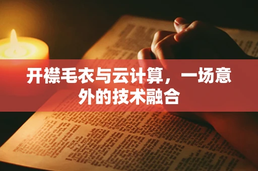开襟毛衣与云计算，一场意外的技术融合
