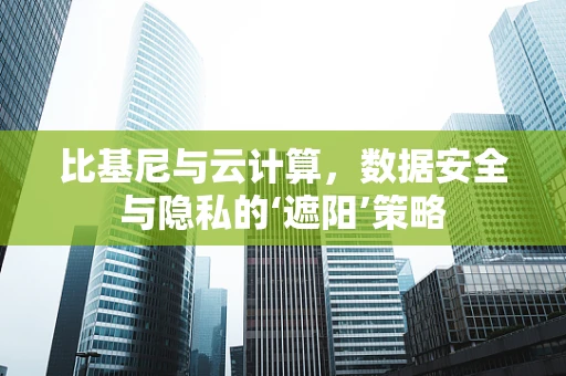 比基尼与云计算，数据安全与隐私的‘遮阳’策略