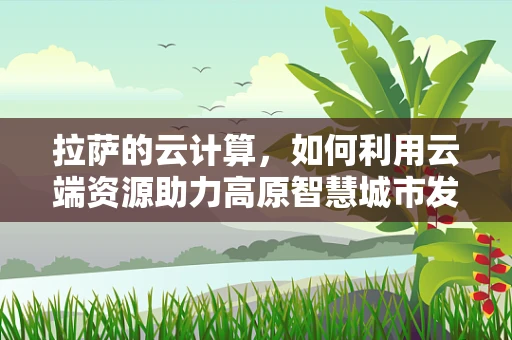 拉萨的云计算，如何利用云端资源助力高原智慧城市发展？