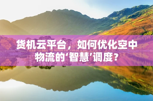 货机云平台，如何优化空中物流的‘智慧’调度？