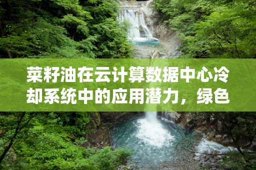 菜籽油在云计算数据中心冷却系统中的应用潜力，绿色节能的未来之路？