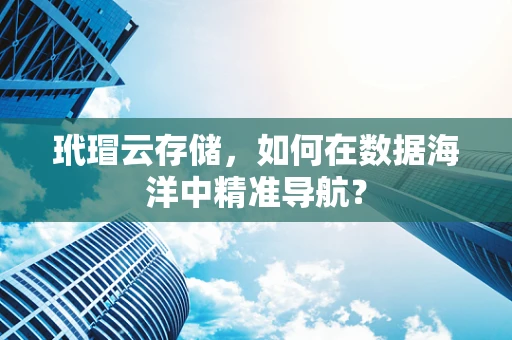 玳瑁云存储，如何在数据海洋中精准导航？