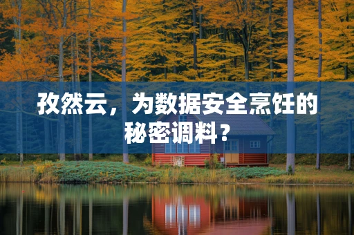 孜然云，为数据安全烹饪的秘密调料？