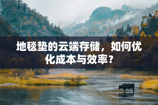 地毯垫的云端存储，如何优化成本与效率？