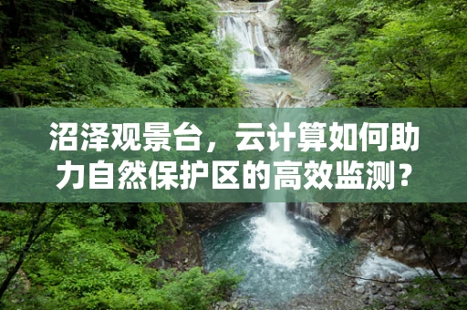 沼泽观景台，云计算如何助力自然保护区的高效监测？