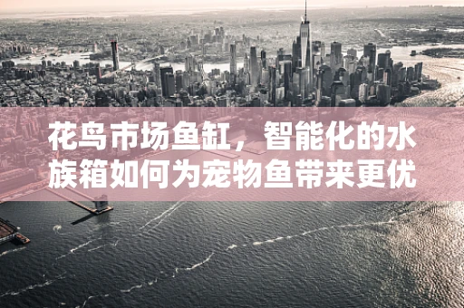 花鸟市场鱼缸，智能化的水族箱如何为宠物鱼带来更优生活？