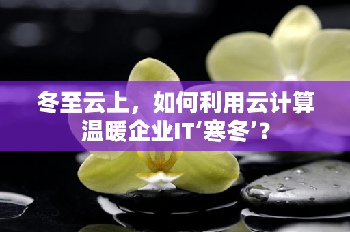 冬至云上，如何利用云计算温暖企业IT‘寒冬’？