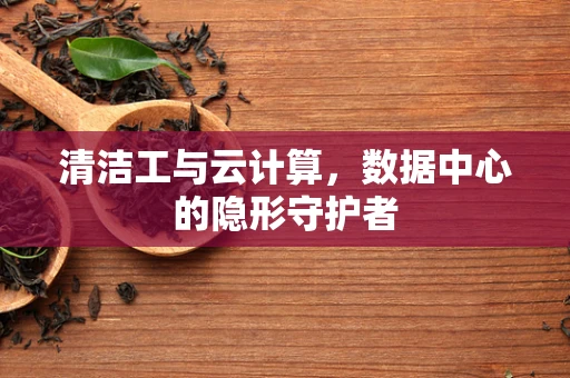 清洁工与云计算，数据中心的隐形守护者