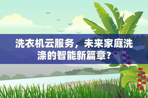 洗衣机云服务，未来家庭洗涤的智能新篇章？